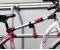 bike-frame-adapter-voor-back_big.jpg
